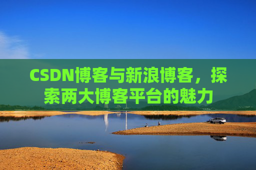 CSDN博客与新浪博客，探索两大博客平台的魅力